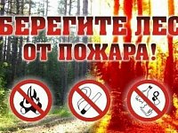 Осторожно, огонь! Жителям региона напомнили о рисках возникновения лесных пожаров