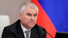 Вячеслав Володин: принятые пять лет назад поправки к Конституции повысили социальную защищенность граждан