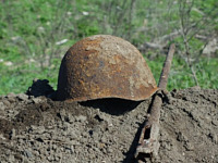 14 уроженцев региона, погибших в 1942 году, обнаружили поисковики