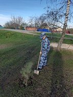 Общественники и полицейские приняли участие в акции «Сад памяти»