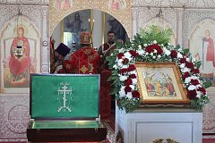 Праздник «Земский доктор» состоялся на Романовской земле