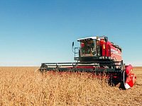 Первые результаты уборочной кампании: намолочена тысяча тонн зерна нового урожая