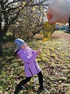 Состоялся конкурс детских фоторабот "Дорога в осень"