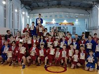 Романовцы участвовали в первенстве Лысогорского района по самбо