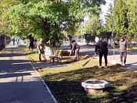 Вместе делаем район уютнее: как проходит месячник по благоустройству