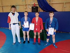 Самбисты Романовской ДЮСШ завоевали призовые места в г. Саратове
