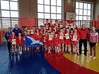 Романовские самбисты завоевали победу в соревнованиях