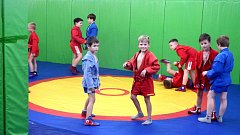 Романовские спортсмены присоединились к Всероссийской тренировке по самбо