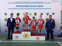 Романовские самбисты приняли участие в региональных соревнованиях