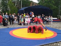 Самбисты показали себя во время праздника