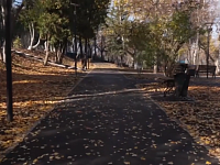 Около реабилитационного центра для участников СВО создан новый сквер