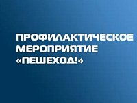 Сотрудники Госавтоинспекции проводят профилактическое мероприятие «Пешеход!»