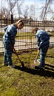 Общественники и полицейские приняли участие в акции «Сад памяти»