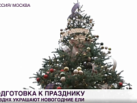 На федеральном телеканале показали ель Саратовской области на выставке "Россия" на ВДНХ