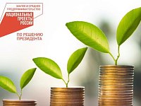 Предприниматели Саратовской области привлекли более 4 млрд рублей благодаря господдержке