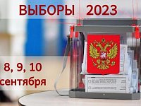 Председатель ТИК В.В. Ещенко дал разъяснения о проведении выборов
