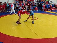 Романовские самбисты стали победителями Прихоперской лиги