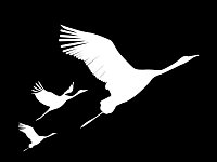 Сегодня, по всей России почтили память тех, кто погиб в страшном теракте в «Крокус Сити Холл». На самом здании появилась проекция «Журавли».        