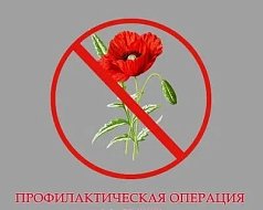 Проводится операция «Мак-2026»