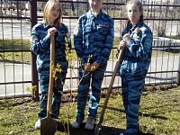 Общественники и полицейские приняли участие в акции «Сад памяти»