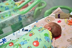 Губернатор Роман Бусаргин предложил к концу года расширить критерии для получения нового пособия для молодых мам