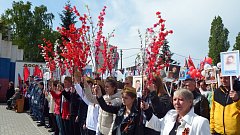 В районе торжественно встретили 78-ю годовщину Великой Победы