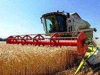 Уборочная кампания-2024 идет полным ходом