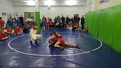 Состоялся турнир по самбо