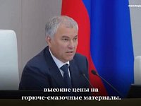 Володин о высоких ценах на горюче-смазочные материалы