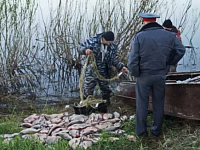 Проводится профилактическое мероприятие «Биосфера»