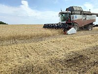На полях района идет уборочная страда
