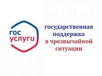 Саратовцы могут узнать на Госуслугах о господдержке в случае чрезвычайной ситуации