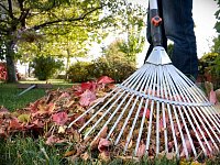 Роман Бусаргин обозначил дату первого общеобластного субботника