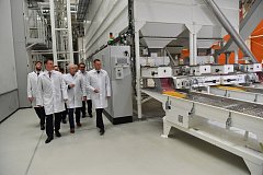 Треть всей российской муки из твердых сортов пшеницы производится в Саратовской области