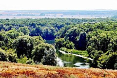 О родном селе с любовью