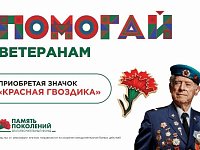 В регионе продолжается Всероссийская акция «Красная гвоздика»