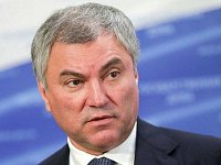 О негодяях - Вячеслав Володин о новом проекте закона