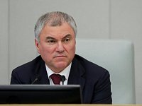 Ответ Вячеслава Володина Юлии Клёкнер