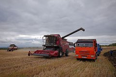 Романовский район занимает первое место по урожайности зерновых!
