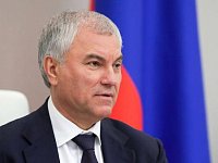 Володин: законопроект о запрете «наливаек» принят в первом чтении