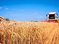В Романовском районе стартовала уборочная кампания