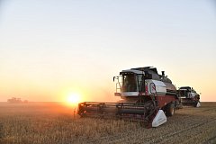 Саратовские аграрии собрали два миллиона тонн урожая