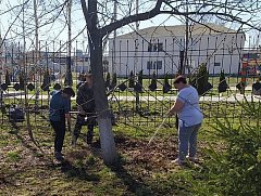 Сделаем наш дом  чище