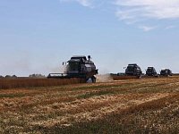 В Саратовской области наращиваются темпы уборочной кампании