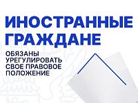 Иностранные граждане, незаконно находящиеся на территории РФ, обязаны урегулировать свое правовое положение